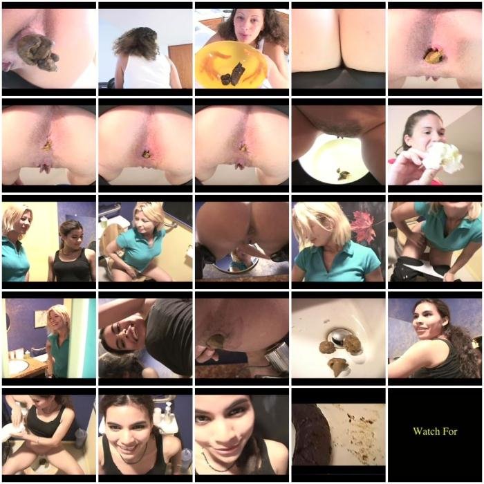 Solo Scat: (ShitGirl) - College Girls Pooping 8 part 2 [SD] (441 MB)