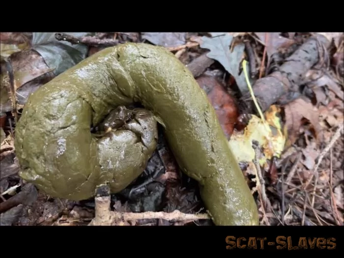 BW Scat: (Outdoor) - Thick Soft Shit Outside [FullHD 1080p] (337 MB)