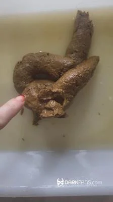 DarkFans.com: (Domina Marbella) - Toilet Pov - Hoy He Hecho Este Delicioso Pastel De Mierda [UltraHD 2K] (66.2 MB)
