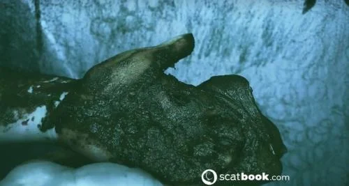 Scatbook: (SweetBettyParlour) - I CAN touch YOU with IT! [HD 720p] (197.27 MB)