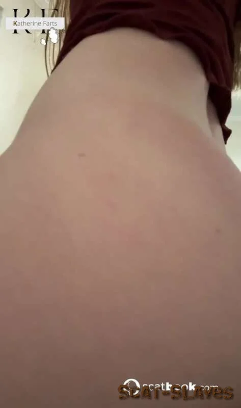 Scatbook: (Katherine Farts) - Farting nasty on his mouth [HD 720p] (49.69 MB)