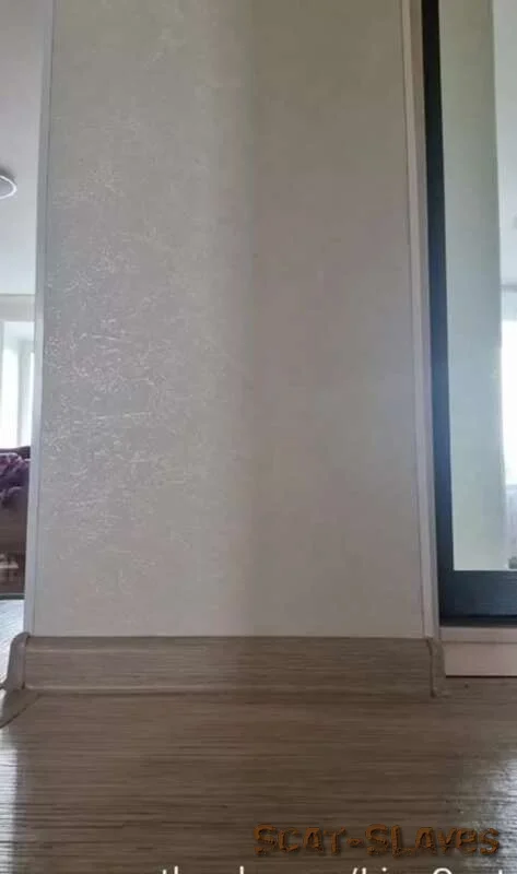 Scatbook: (Scatlina) - The 8 day [SD] (48.35 MB)