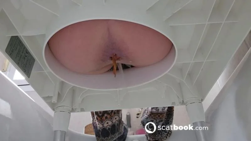 Scatbook.com: (Miss Lith) - Pooping After 2 Days Without Doing It [HD 720p] (60.4 MB)