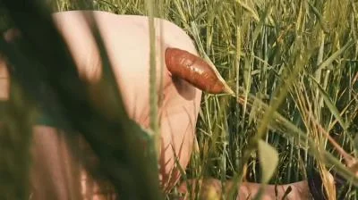 Filthygrid.com: (Mia Skye aka MiaRoxxx) - Doggystyle Shit In a Field [HD 720p] (36.0 MB)