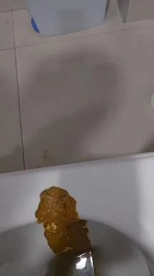 Scatbook: (Miss Lith) - Scatting Girl 22 [SD] (69.4 MB)