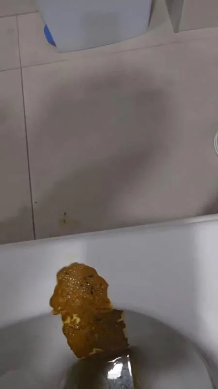 Scatbook: (Miss Lith) - Scatting Girl 22 [SD] (69.4 MB)