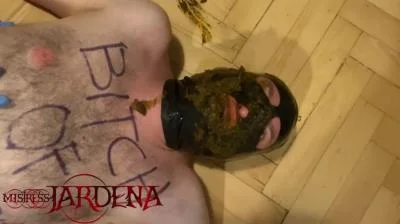 Scatbook.com: (Mistress Jardena) - Masacrated bitch on first toilet session [HD 720p] (72.7 MB)