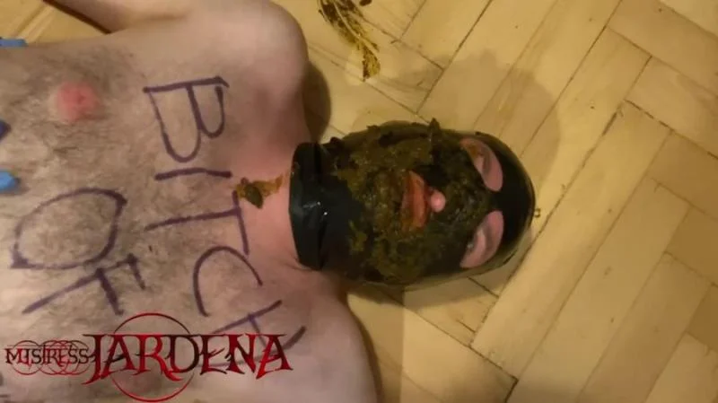 Scatbook.com: (Mistress Jardena) - Masacrated bitch on first toilet session [HD 720p] (72.7 MB)