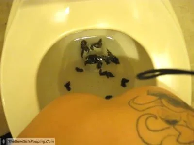 TheNewGirlsPooping: (Kylie) - Scatting Girl - 2 [SD] (55.4 MB)