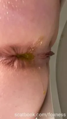 Scatbook.com: (Foxness) - Pooping 2 [SD] (10.5 MB)