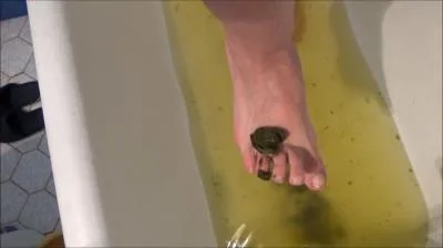 Scatshop.com: (Mistress Roberta) - Poop And Enema [SD] (382 MB)