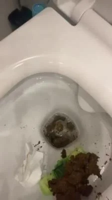 Scatbook.com: (Mistress Jardena) - Daily portion of shit for my bitches [SD] (12.2 MB)