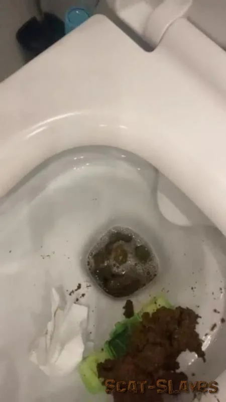 Scatbook.com: (Mistress Jardena) - Daily portion of shit for my bitches [SD] (12.2 MB)