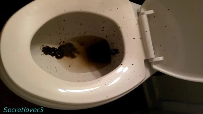 Scatshop: (Sorsha aka Secretlover3) - Toilet Spray [FullHD 1080p] (568 MB)