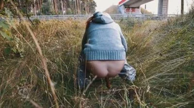 Filthygrid.com: (Mia Skye aka MiaRoxxx) - Highway Pooping 3 [HD 720p] (40.8 MB) Scat-Slaves.net