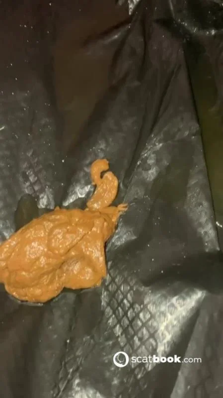 Scatbook.com: (Aurora Jolie) - Hairy Pooping Butthole [SD] (54.7 MB)