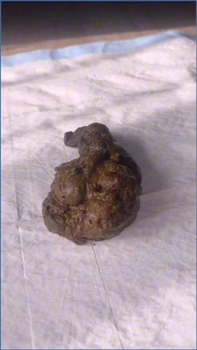 Download Miss Raines Wet Play USA HD 720p Scat-Slaves.net