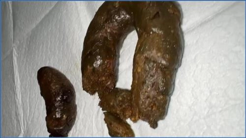 Miss Raines Kaviar and Watersports Action HD 720p – Scat-Slaves poster