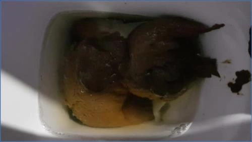 Thefartbabes Xmas Scat and Fart FullHD 1080p – Scat-Slaves poster