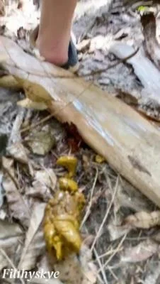 Scatbook.com: (Filthy Skye) - Shitting Girl 64 [SD] (26.1 MB)