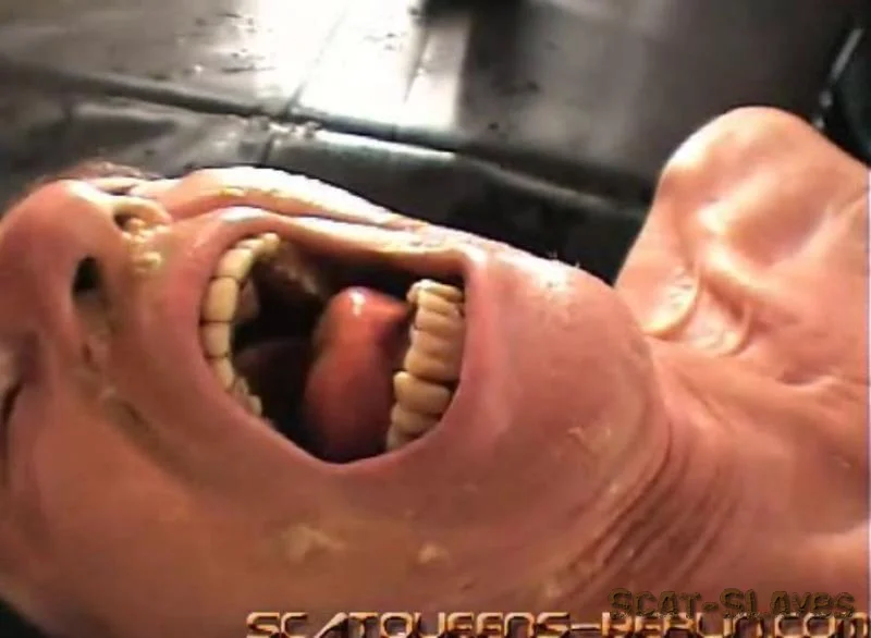 Scatqueens-Berlin.com: (Lady Missy, Lucy Delunatic, Lady Grace, Miss Flowers, Lady Katherina, Lisa Anderson) - Ach Du Liebe Kotze Teil 2 [SD] (133 MB)