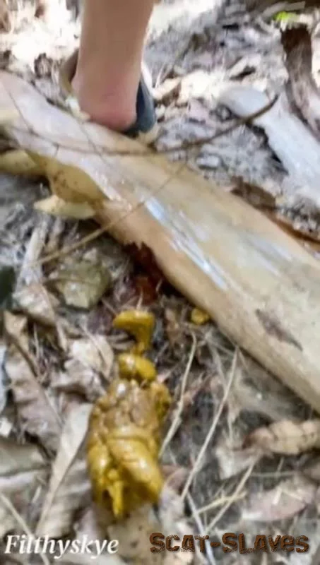 Scatbook.com: (Filthy Skye) - Shitting Girl 64 [SD] (26.1 MB)