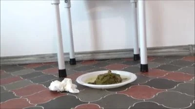 Scatshop.com: (Mistress Roberta) - Potty Breakfast [SD] (258 MB) Scat-Slaves.net