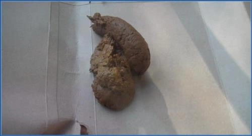 Download Alexa XOXO 05: Intense Solo Scat and Pissing Action with Jessica Valentino - Stream or Download Scat-Slaves.net