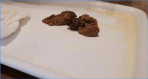 Macrofília con mi Caca FullHD 1080p Badkitty España - Acción de Orina y Defecación en Scat-Shop.com