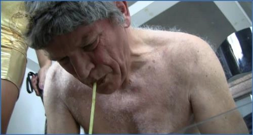 Download Die Toilette Sklave wird gefüttert - Junge Herrinnen spielen mit Sklaven im Fetisch- und Extremszenario Scat-Slaves.net