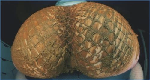 Schmutzige Betty - Leckere Szenen in FullHD 1080p jetzt bei Scat-Shop.com ansehen