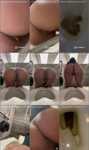Brownsensation8's Extreme Scat and Anal Collection: Random Toilet Dumps and Big Toys on Scatbook