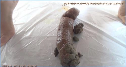 Sexy Flatulence in Wet Fart and Pissing Action on Scat-Shop and Clips4sale – Scat-Slaves poster