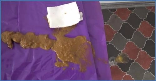 Watch Mistress Roberta in Extreme Fetish - Serving Before Feeding (pov) Scene – Scat-Slaves poster