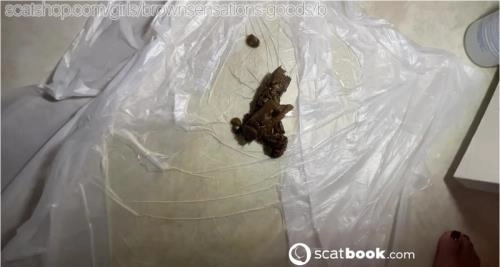 BrownSensation8 - Two Girls, One Home, HD 720p