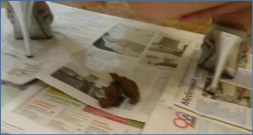 Braune Ehefrau - Scheiß Fitness HD 720p mit Natalya ansehen – Scat-Slaves poster