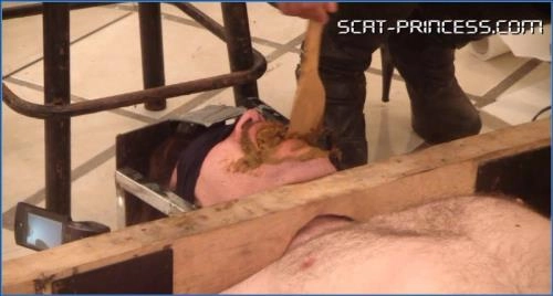 9 Almuerzos para 9 y 9 Cenas para uno, pobre Esclavo de Baño Parte 3 Andrea HD 720p Scat-Princess – Scat-Slaves poster