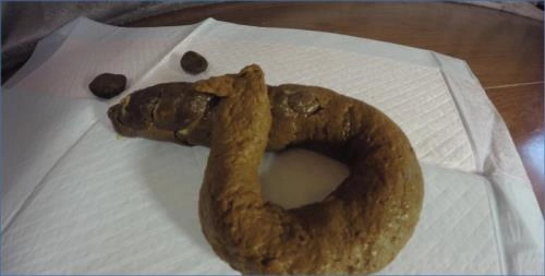 Rachelle2 Scat Porn: Femdom Toilet Slave in UltraHD 4K on ScatLab