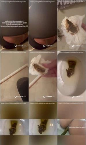 BrownSensation8 - Toilet Scatbook Video Stream or Download 13.76 MB – Scat-Slaves poster