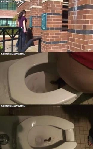 Shante Openbare Toilet Pooping HD 720p Video met Alina, Demi, Aspen – Scat-Slaves poster