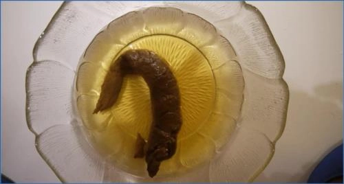 SexyFeli - Morgenurin und Kot auf Brücken FullHD 1080p – Scat-Slaves poster