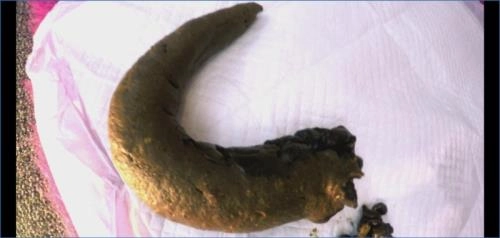 4 Turds for Hungry Toilet Slave with Blonde Goddess in UltraHD 4K – Scat-Slaves poster