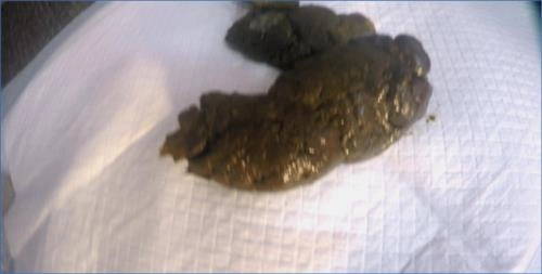 Rachelle2's Femdom Toilet Slave: 3 Hard Turds in UltraHD 4K on ScatLab