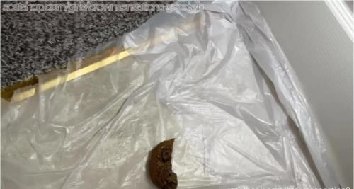 BrownSensation8's Pissing and Big Toys Scatbook Special: Masturbating and Shitting 2 HD 720p Video 36.23 MB