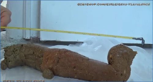 SexyFlatulence Dominates in FullHD 1080p Pissing and Peeing Scat Video - 257.22 MB, Watch or Download