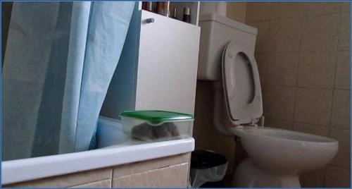 Peso delle Feci HD 720p con Moana Voglia: Scat, Piss e Feticismo dei Piedi