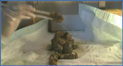 Download Delilah T Kaka domina el juego PAWG Latina en este especial de ScatShop y Scatbook Scat-Slaves.net