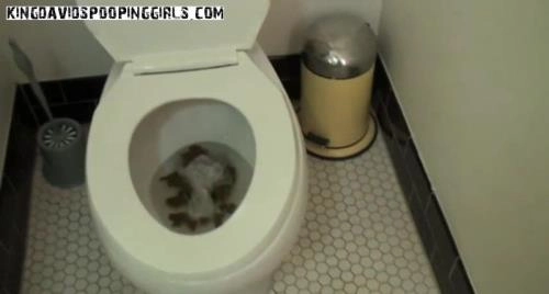 Download Drew's Grote Toiletbeurt met Alina, Demi en Aspen – KingDavidsPoopingGirls Video 57.68 MB Scat-Slaves.net