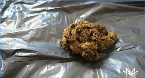 Download German Cruel - Scat und Femdom in FullHD Scat-Slaves.net