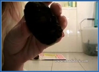 Download Ana Didovic - Scat en anale actie achter elkaar Scat-Slaves.net